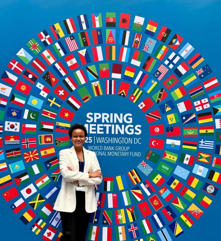 IMF Representative for IPPDR