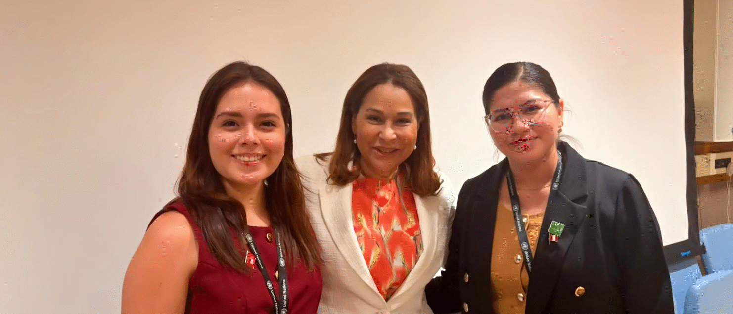 The Institute of Public Poliocy and Diplomacy Research at the United Nations High-Level Political Forum HLPF